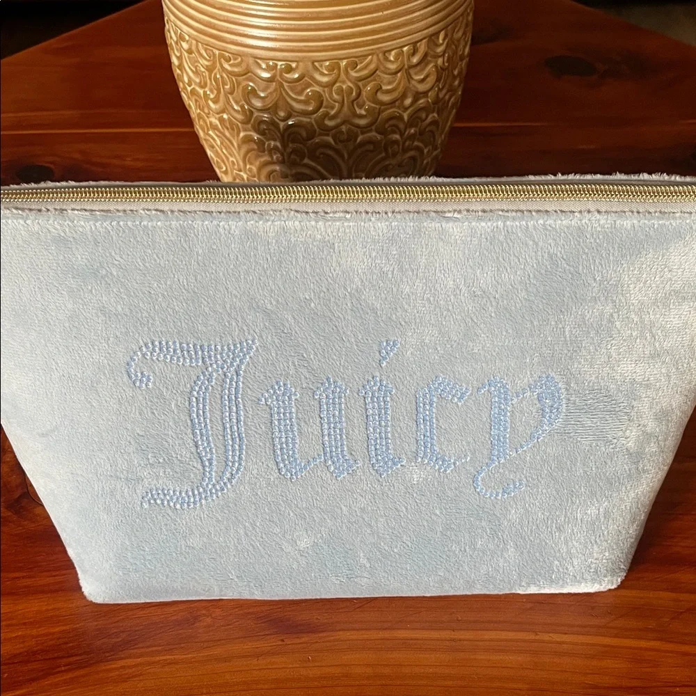 Juicy Light Blue Velour Pouch with Gold Zipper - Picture 1 of 8